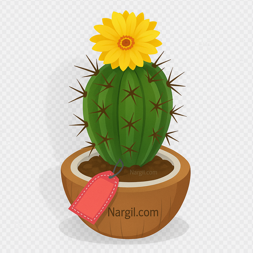  Nargil - Hedgehog cactus